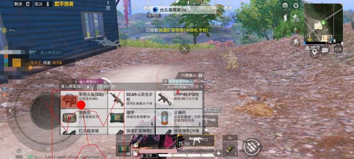 和平精英除草辅助是什么（和平精英全图除草是什么外挂）