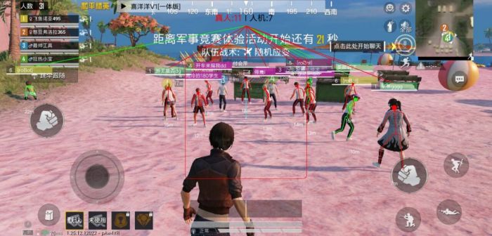 和平精英透视辅助怎么开通（和平精英透视辅助怎么安装）